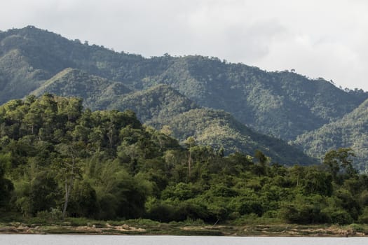 top view of forest in thailand and blue sky. some  areas is change ground to agriculture