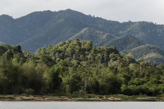 top view of forest in thailand and blue sky. some  areas is change ground to agriculture