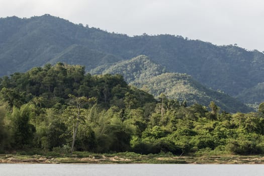 top view of forest in thailand and blue sky. some  areas is change ground to agriculture