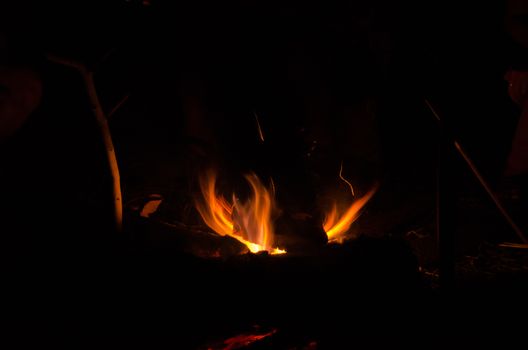 the bonfire is burning firewood in forest and have heat for body