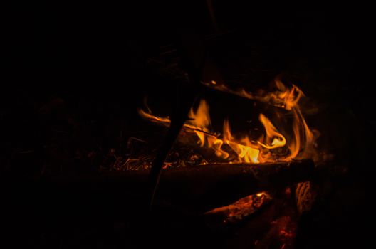 the bonfire is burning firewood in forest and have heat for body
