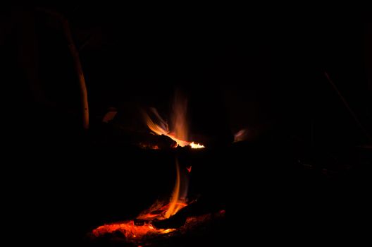 the bonfire is burning firewood in forest and have heat for body