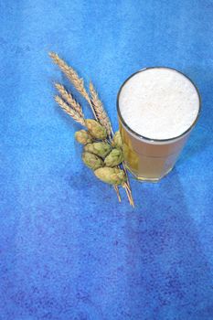 Glass of light wheat beer with penny and hops with ears on a blue abstract background. Close-up.