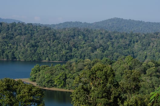 after the dam is full water .then the forest is not close area. bring island in the dam