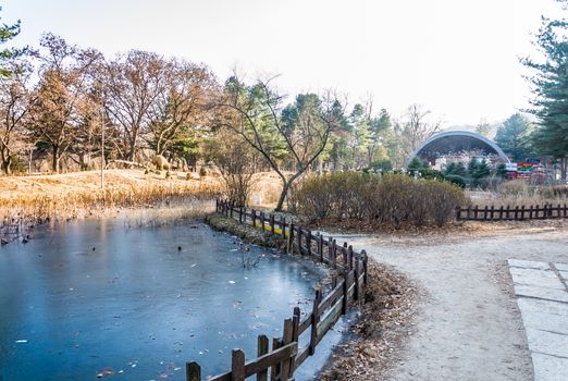 Nami Island the national park in Seoul, South korea