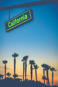 A California Street Sign Over Palm Trees At Sunset With Copy Space