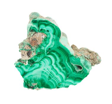 Geological specimen of natural green layered mineral malachite - semiprecious stone and copper ore, isolated on white background