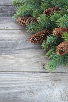 Christmas frame composed of pine cones and spruce branches on the background of old unpainted wooden boards; Christmas composition for greeting card with copy-space