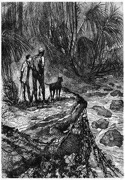 Bushman and his companion watched, vintage engraved illustration. Jules Verne 3 Russian and 3 English, 1872.