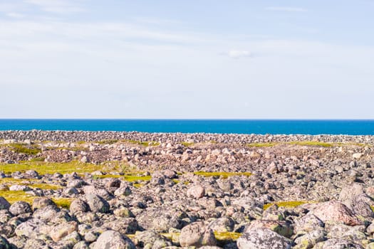 Rocky seashore. Huge rounded boulders on the beach. The Barents sea shimmers with all shades of blue in summer. Among the stones can be seen Islands of grass and moss, somewhere there are berries