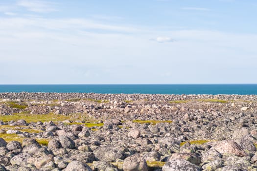 Rocky seashore. Huge rounded boulders on the beach. The Barents sea shimmers with all shades of blue in summer. Among the stones can be seen Islands of grass and moss, somewhere there are berries