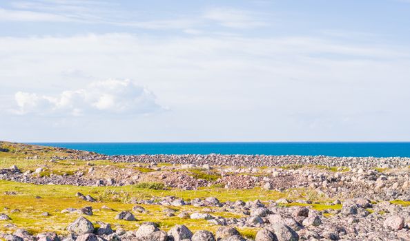 Rocky seashore. Huge rounded boulders on the beach. The Barents sea shimmers with all shades of blue in summer. Among the stones can be seen Islands of grass and moss, somewhere there are berries