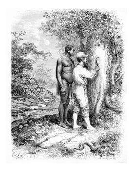 Carving Initials on a Tree in Oiapoque, Brazil, drawing by Riou from a sketch by Dr. Crevaux, vintage engraved illustration. Le Tour du Monde, Travel Journal, 1880