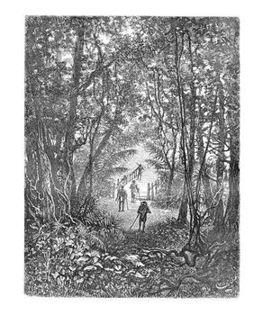 Crossing a Small Bridge in the Jungle in Oiapoque, Brazil, drawing by Riou from a sketch by Dr. Crevaux, vintage engraved illustration. Le Tour du Monde, Travel Journal, 1880