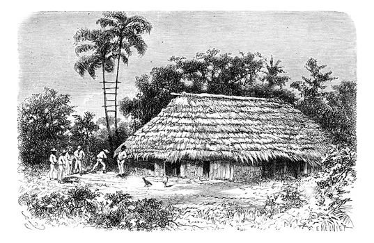 Typical Dwelling in the Town of Cuembi in Amazonas, Brazil, drawing by Riou from a photograph, vintage engraved illustration. Le Tour du Monde, Travel Journal, 1881