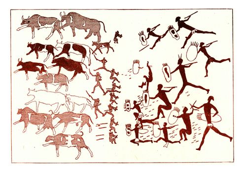 Bushmen defending against the Cafres who pursue them a herd of stolen oxen, vintage engraved illustration. From the Universe and Humanity, 1910.
