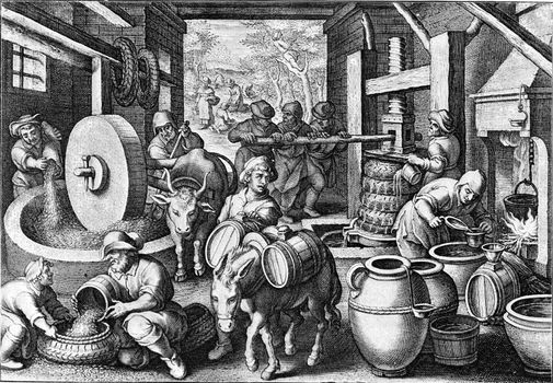 Manufacture of olive oil around the year, vintage engraved illustration. From the Universe and Humanity, 1910.
