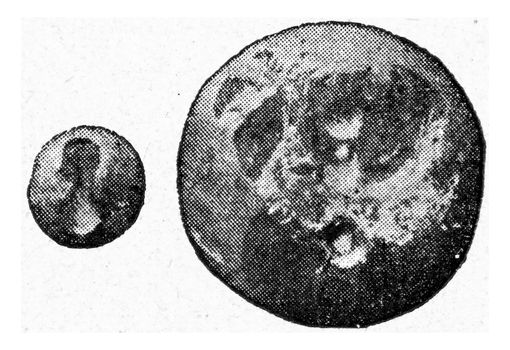Amber buttons with subcutaneous hole, vintage engraved illustration. From the Universe and Humanity, 1910.
