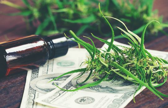 cannabis with cannabidiol (cbd) extract on hundred dollar banknote