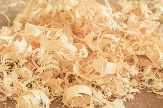 Close up view on wood shavings.