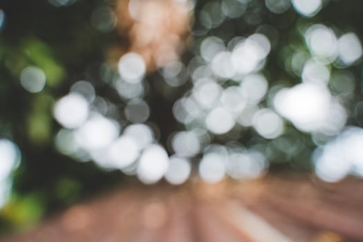Blur bokeh from tree. Blur image and bokeh from tree in daylight