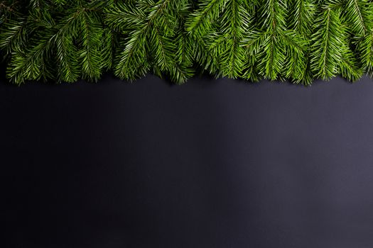 Pine Christmas tree branches on black paper background flat lay top view mock-up