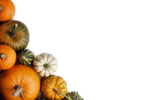 Many orange pumpkins isolated on white background , Halloween concept , top view with copy space