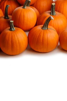 Many orange pumpkins isolated on white background corner composition, Halloween holiday concept