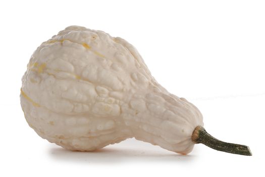 One unusual white pumpkin isolated on white background