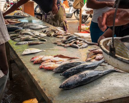 retail sale of fish on the dirty counter at the fish market, around people who watch and choose fish.