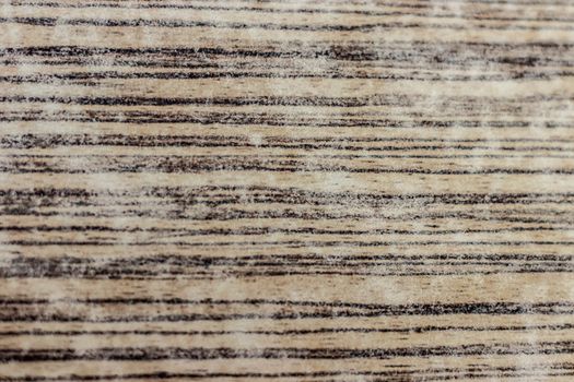 a smooth wood texture with brown lines on it - white color dominated. a closeup texture shoot.