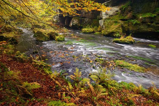 A beautifully clean river flowing through a colorful autumn forest