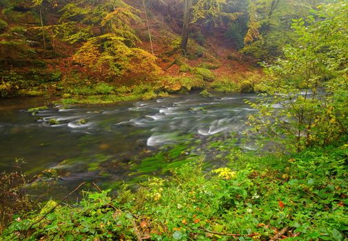 A beautifully clean river flowing through a colorful autumn forest