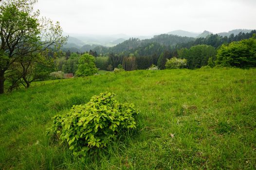 Autumn beautifully colored landscape - forests, meadows, sky