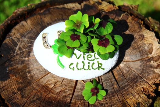 The picture sows lucky clover on wooden unterground.