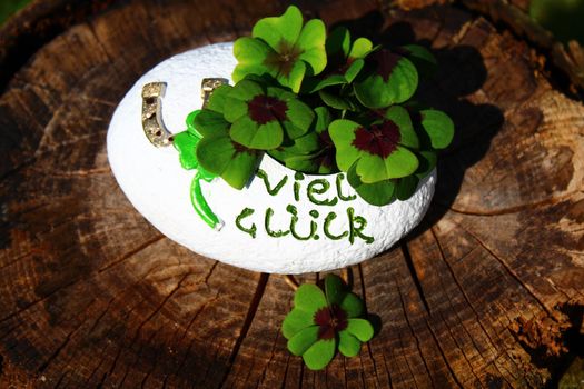 The picture shows lucky clover on wooden unterground.