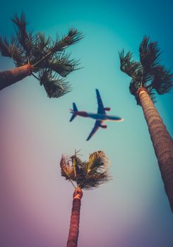 Vacation Image Of An Airliner Flying Overhead Three Palm Trees In The Tropics