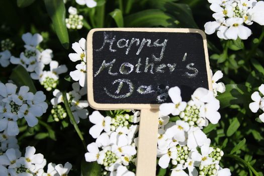 The picture shows a happy mothers day decoration with flowers.