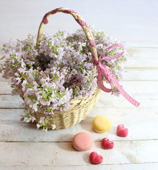 The picture shows a cuckoo flower on wooden boards.