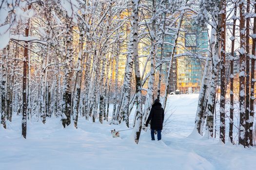 girl walks with a dog in a winter snow-covered city park.