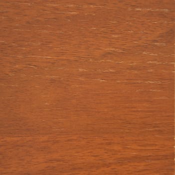 Dark beech, natural drawing of wood texture on a cut. Close-up.