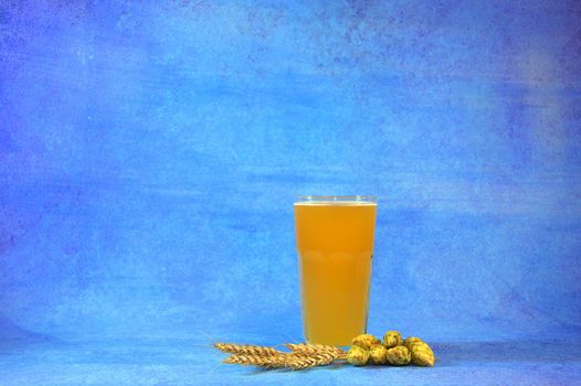 Glass of light beer with foam and ears of wheat and hops fruits on a blue background. Close-up.