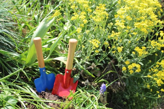 The picture shows garden time in the spring.