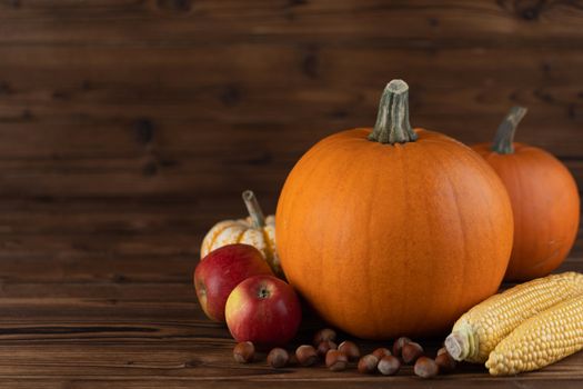 Autumn harvest still life with pumpkins, apples, hazelnut, corn on wooden background