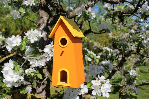 The picture shows a bird house in the blooming apple tree.