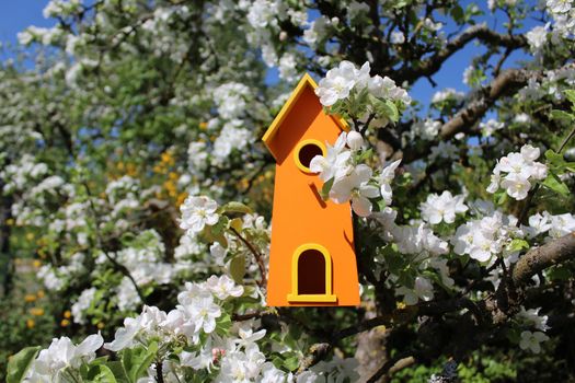 The picture shows a bird house in the blooming apple tree.