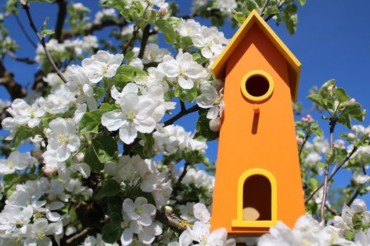 The picture shows a bird house in the blooming apple tree.