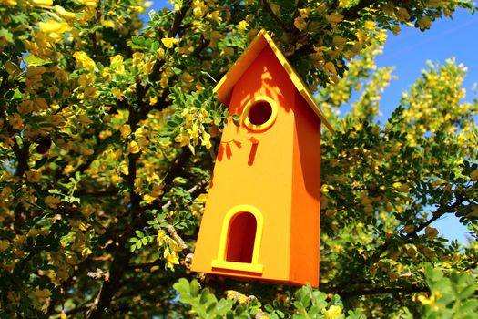 The picture shows a bird house in the tree.