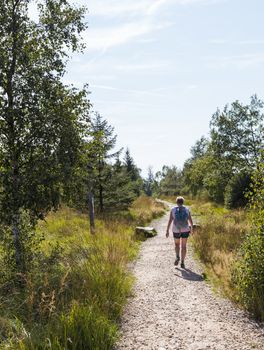 Malmedy,belgium,19-aug-2018:woman walking in the beautifull natural park of the belgium ardennes ,the ardennes is the biggest natural park in belgium