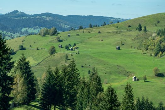 CAMPULUNG MOLDOVENESC, TRANSYLVANIA/ROMANIA - SEPTEMBER 18 : Farlmand near  Campulung Moldovenesc Transylvania Romania on September 18, 2018